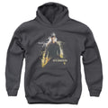 Star Trek Dark Hero Youth Hoodie