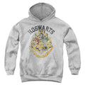 Harry Potter Hogwarts Crest Youth Hoodie