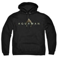 Aquaman Logo Pullover Hoodie