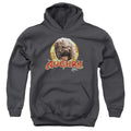 The Dark Crystal Aughra Circle Youth Hoodie
