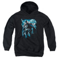 Batman Stormy Knight Youth Hoodie