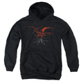 The Hobbit Smaug Youth Hoodie