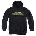 Dexter's Laboratory Dexters Logo Youth Hoodie
