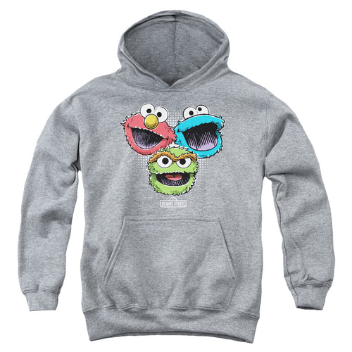 Sesame Street Halftone Heads Youth Hoodie