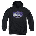 Batman Cracked Shield Youth Hoodie