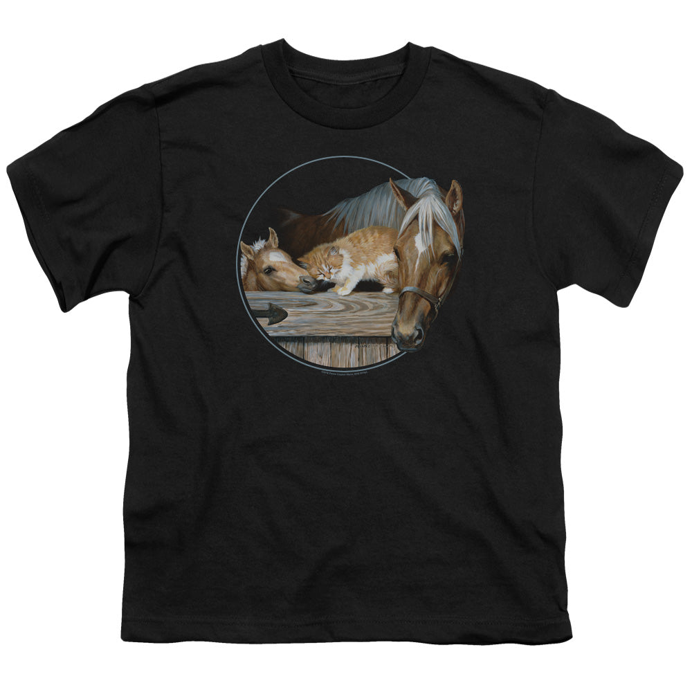 Wild Wings Everyone Loves Kitty Youth/Toddler T-Shirt