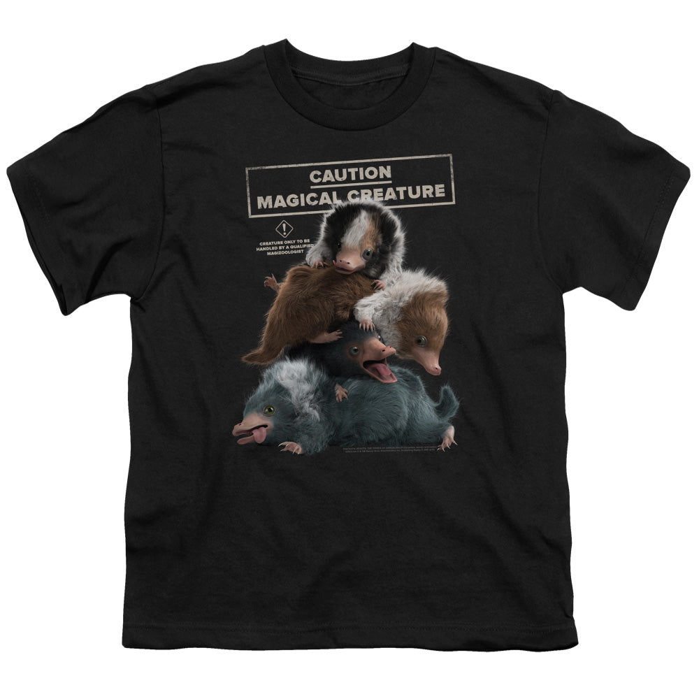 Fantastic Beasts Cuddle Puddle Youth/Toddler T-Shirt
