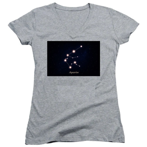 Aquarius Stars Gray