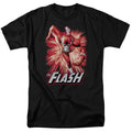 Justice League Flash Red & Gray T-Shirt