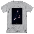 Capricorn Stars Gray