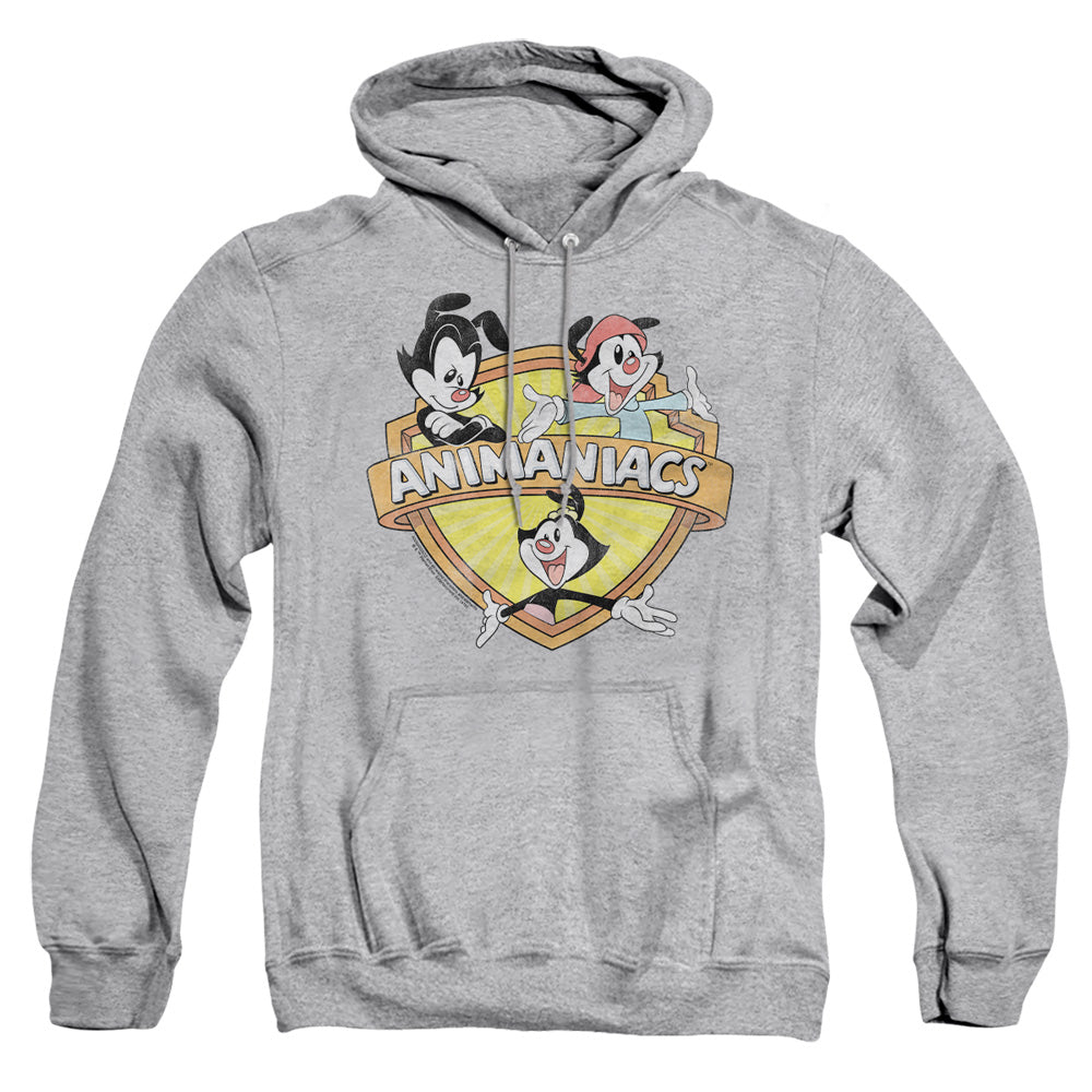 Animaniacs Shielded Animaniacs Pullover Hoodie