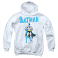 Batman Stance Youth Hoodie