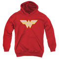 DC Comics Ww Logo Youth Hoodie