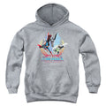 Justice League Team Power Youth Hoodie
