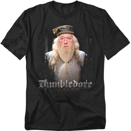 Harry Potter Dumble Doors T-Shirt