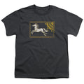 Lord of the Rings Rohan Banner Youth/Toddler T-Shirt