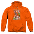 Justice League Showcase #34 Cover Pullover Hoodie