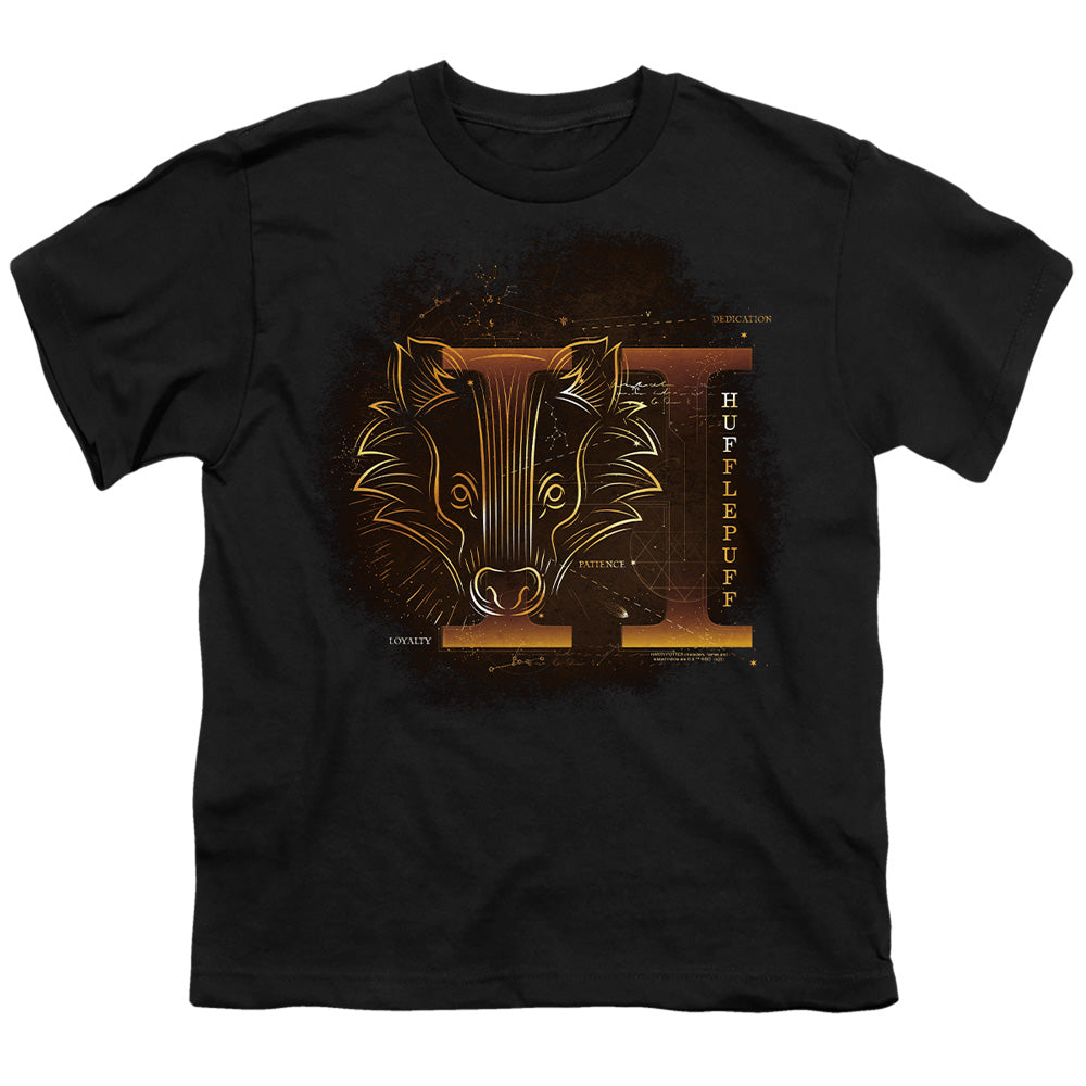 Harry Potter Celestial Nomad Hufflepuff Youth/Toddler T-Shirt