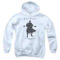 Batman Paislety Silhouette Youth Hoodie