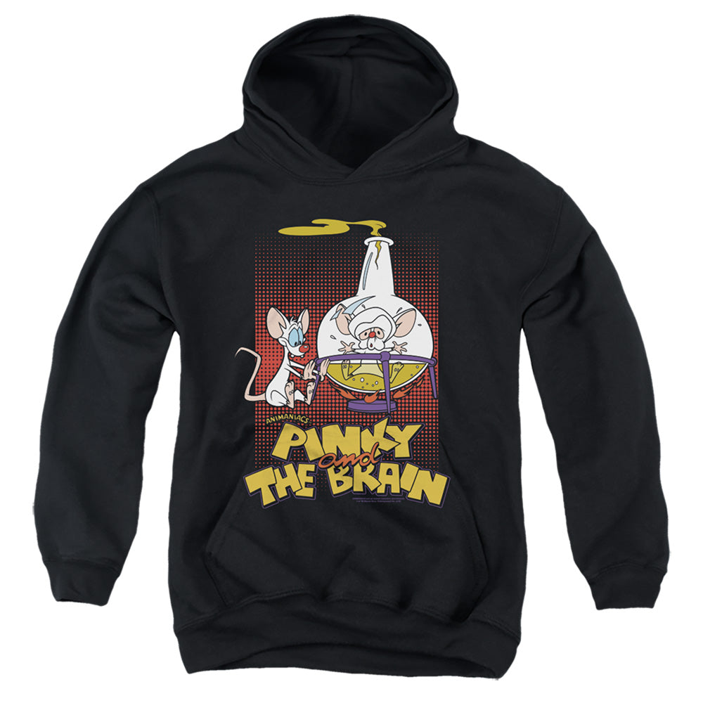 Pinky and the Brain Lab Flask Youth Hoodie