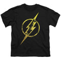 DC Comics Flash Eroded Bolt Tank Top