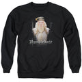 Harry Potter Dumble Doors Crewneck Sweatshirt