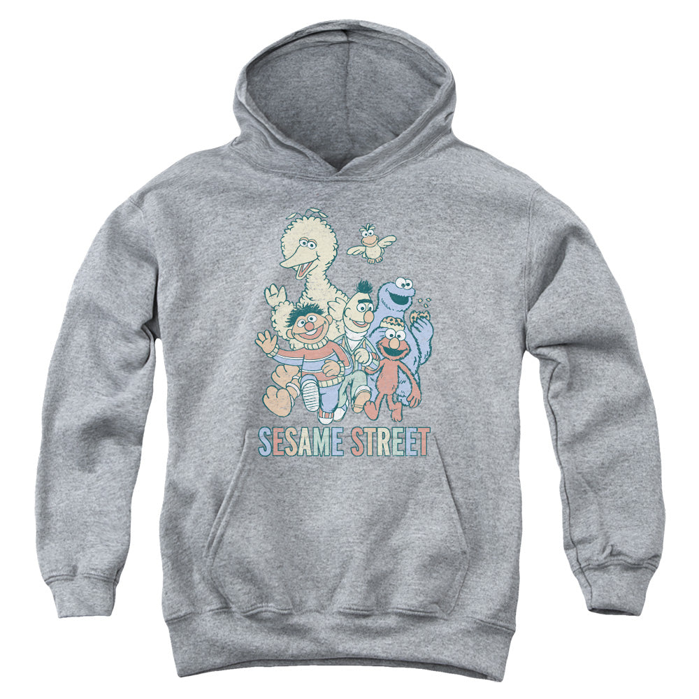 Sesame Street Colorful Group Youth Hoodie