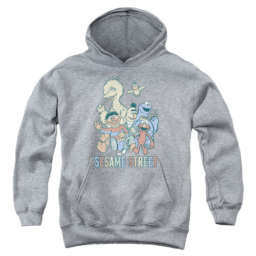 Sesame Street Colorful Group Youth Hoodie