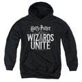 Harry Potter: Wizards Unite Wizards Unite Logo Youth Hoodie