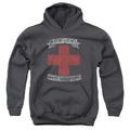 Bon Jovi Bad Medicine Youth Hoodie