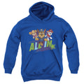 Paw Patrol All in Youth Hoodie