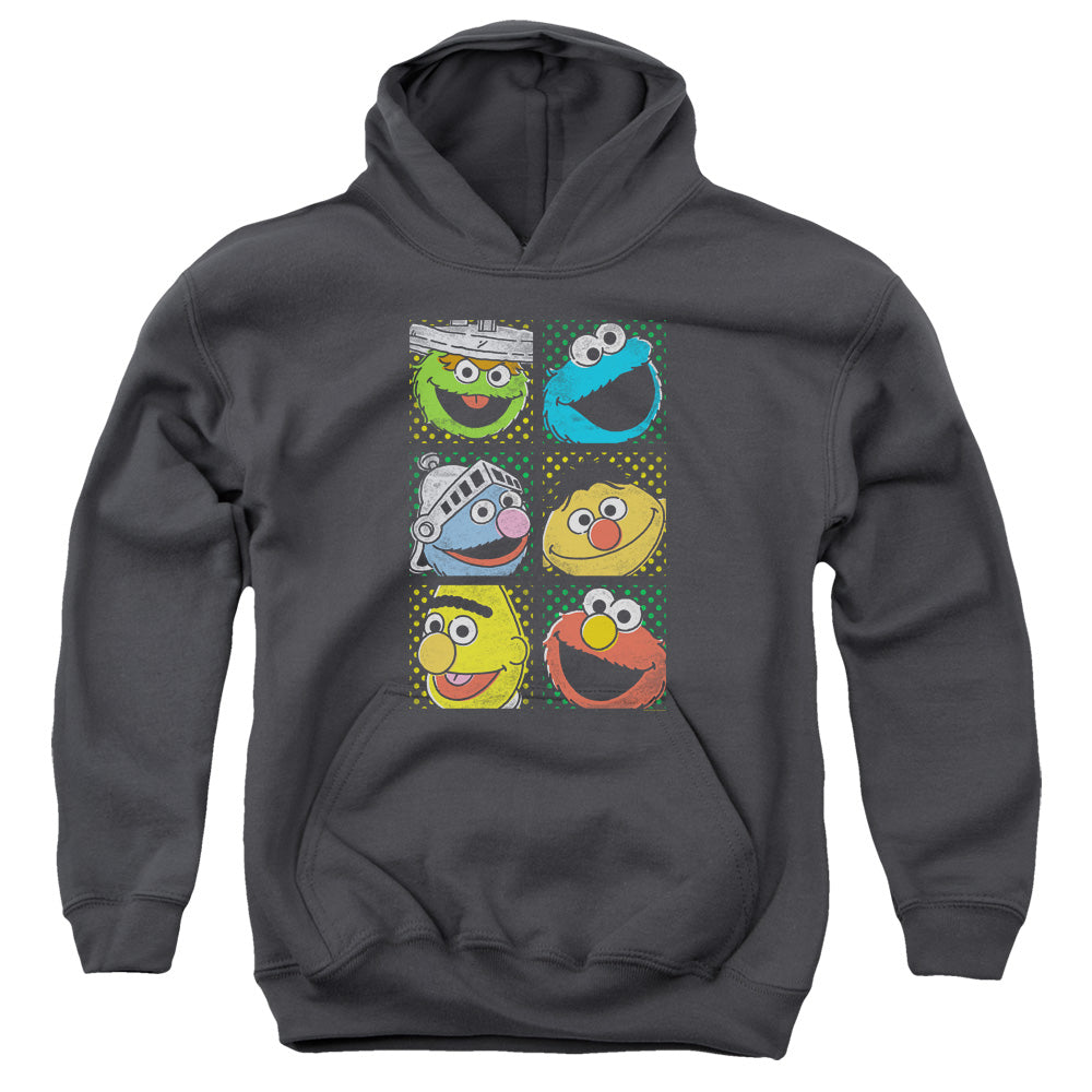 Sesame Street Group Squares Youth Hoodie