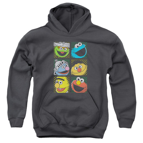 Sesame Street Group Squares Youth Hoodie