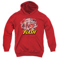 Justice League Flash Family Youth Hoodie