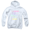 DC Super Hero Girls Fighting For Justice Youth Hoodie