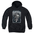 Batman Nightwing Biker Youth Hoodie