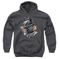 Batman v Superman Bat Head Tech Youth Hoodie