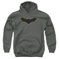 Batman Batman Logo Yellow Outline Youth Hoodie