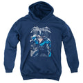 Batman A Legacy Youth Hoodie
