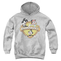 Animaniacs Shielded Animaniacs Youth Hoodie