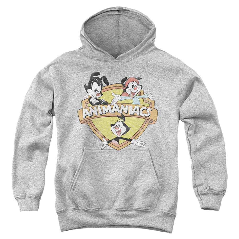 Animaniacs Shielded Animaniacs Youth Hoodie