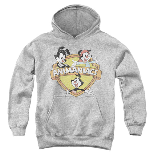 Animaniacs Shielded Animaniacs Youth Hoodie