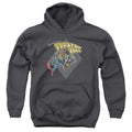 Superman Zod Greetings Youth Hoodie