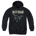 Batman Glide Youth Hoodie
