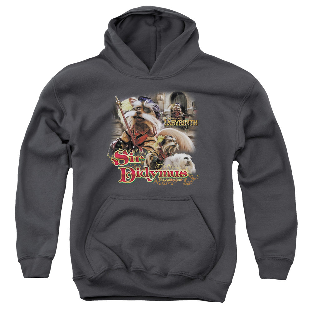 Labyrinth Sir Didymus Youth Hoodie