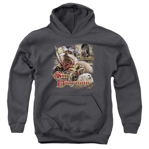 Labyrinth Sir Didymus Youth Hoodie