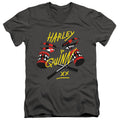 Birds of Prey In My Eyes V-Neck T-Shirt