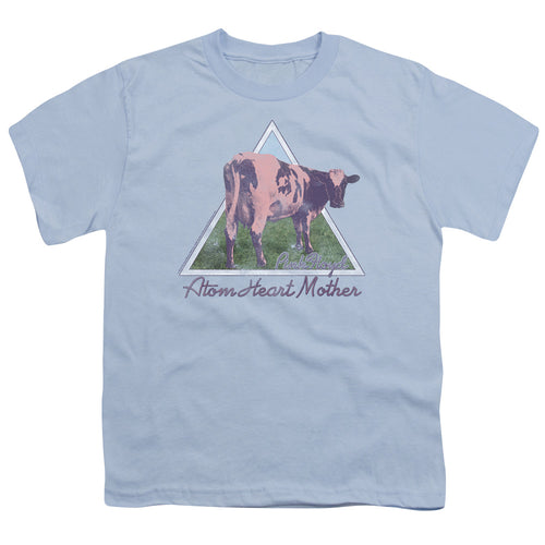 Pink Floyd Atom Heart Mother Triangle Youth/Toddler T-Shirt