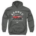 Ford Bronco Illustrated Youth Hoodie