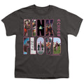 Pink Floyd Cover Youth/Toddler T-Shirt